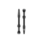 Lezyne CNC TLR tubeless valve pair in black with threaded stems