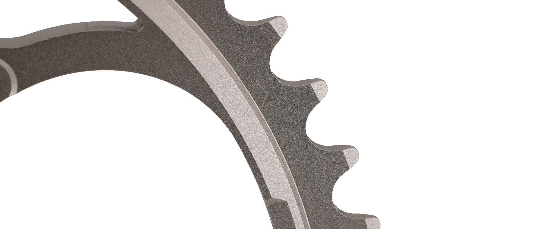 Campagnolo chainring with teeth detail showing dark gray finish and professional studio lighting