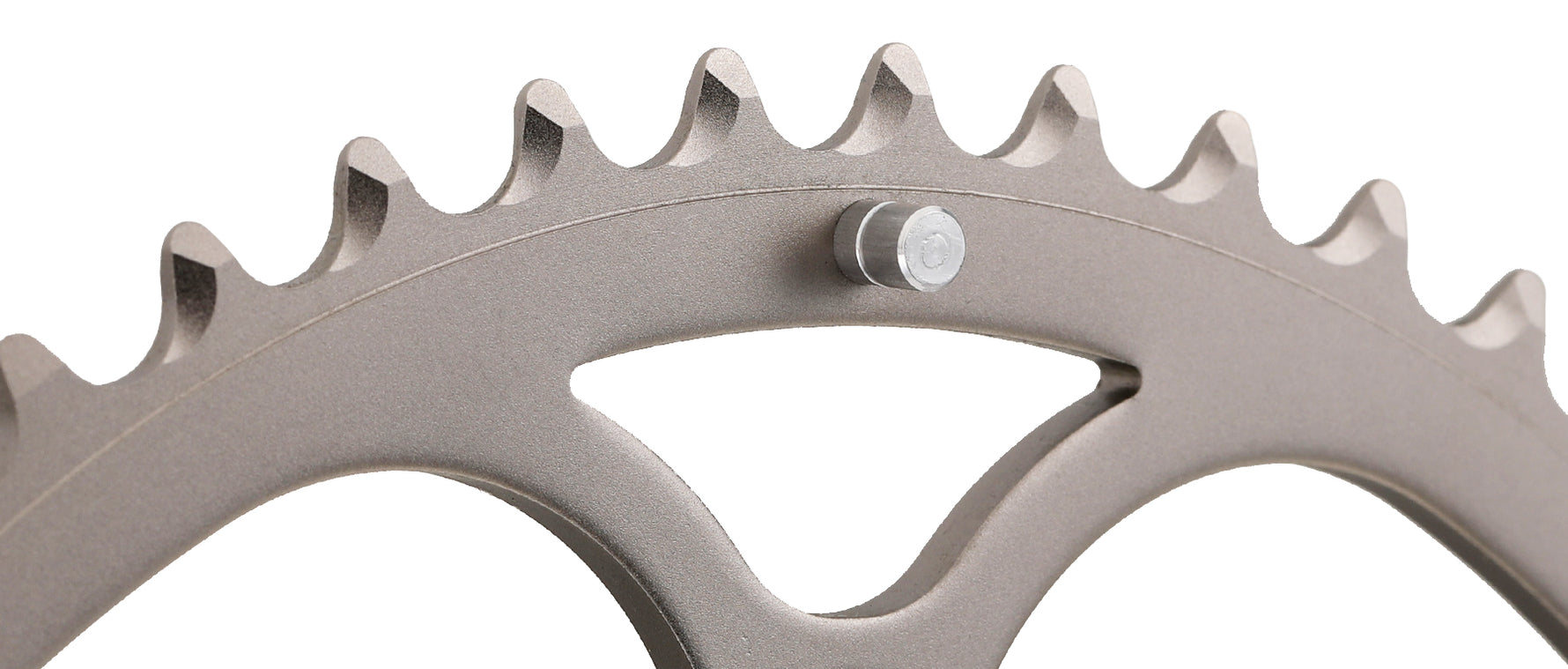 Campagnolo silver metallic chainring showing teeth and mounting bolt detail on white background