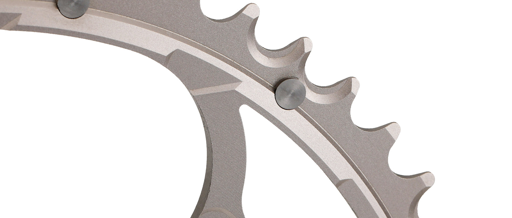 Campagnolo silver chainring with multiple teeth in professional studio lighting