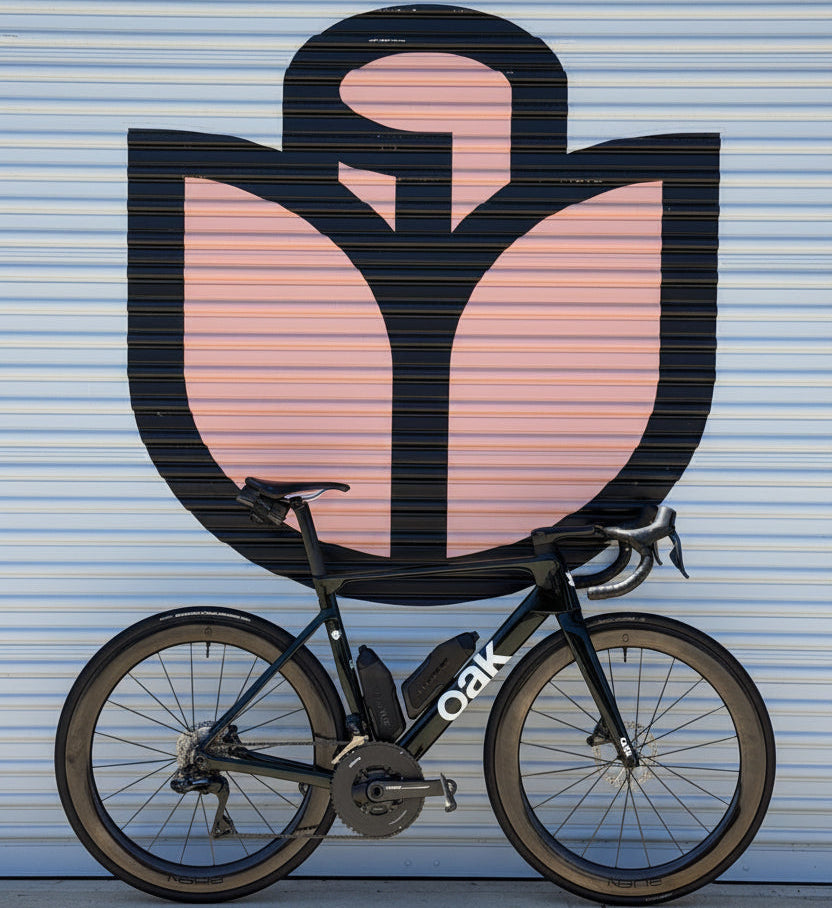 Hi Line Slipstream aero bottle cage installed on black Oak road bike in front of mural