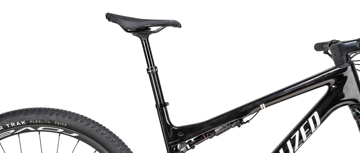 Specialized Epic 9 Expert mountain bike rear frame detail in gloss carbon black with white logo