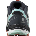 Salomon XA Pro 3D trail running shoe rear view showing heel design and branding