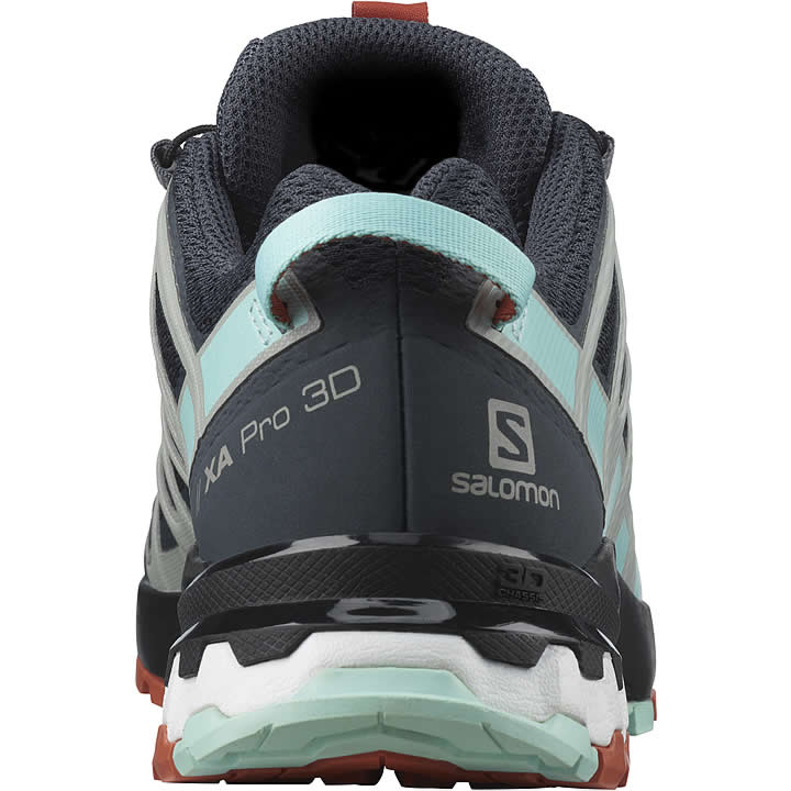 Salomon XA Pro 3D trail running shoe rear view showing heel design and branding