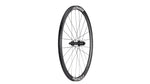 Specialized Roval Alpinist CLX HG rear wheel with carbon rim and white branding