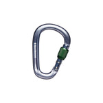 Black Diamond grey aluminum carabiner with green screw gate locking mechanism