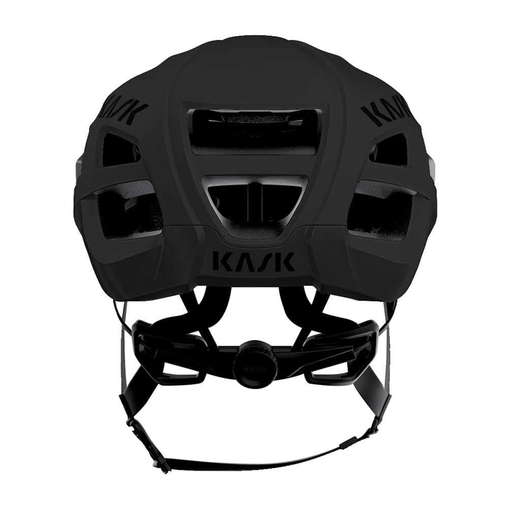 Kask Protone Icon cycling helmet in matte black showing rear view with ventilation ports