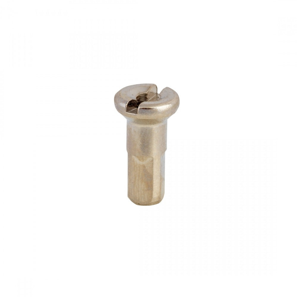 CN brass spoke nipple 12g x 13mm with slotted head on white background