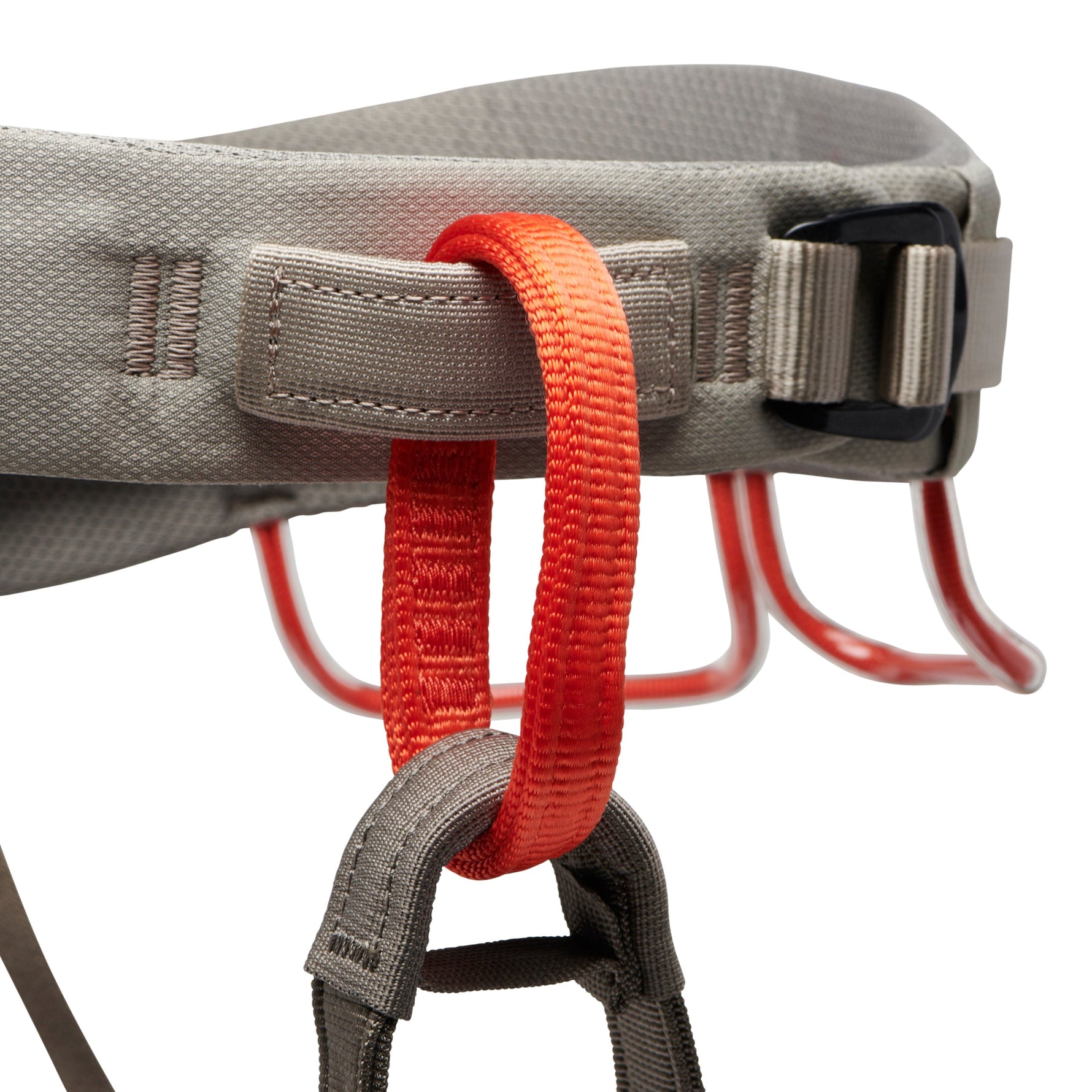 Black Diamond Momentum climbing harness in anthracite gray with red gear loops