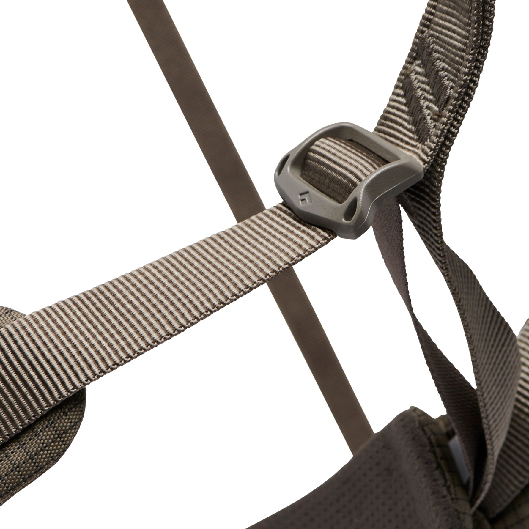 Close-up of Black Diamond climbing harness buckle and webbing straps in anthracite gray