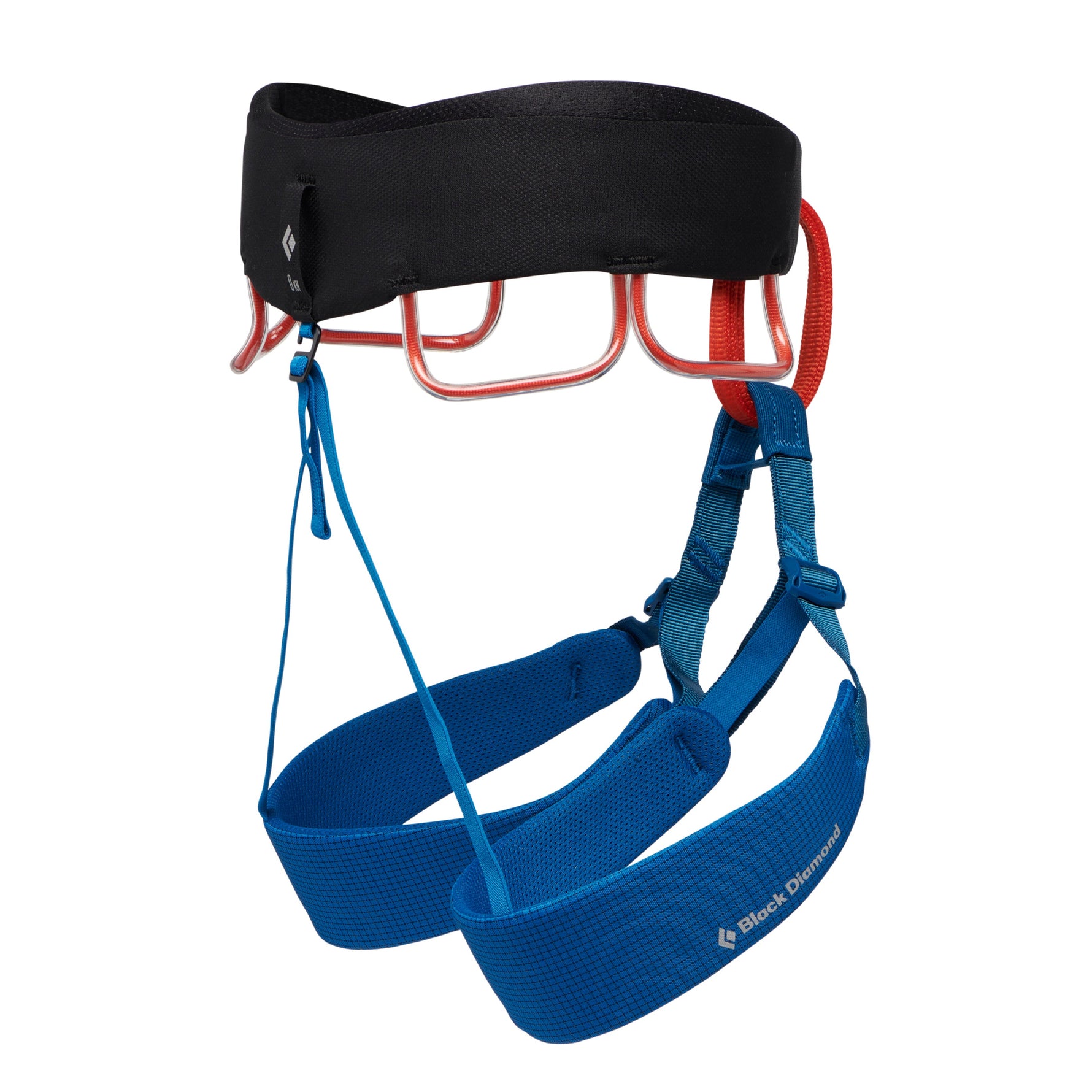 Black Diamond climbing harness with blue leg loops and black waist belt