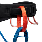 Black Diamond Momentum climbing harness detail showing gear loops and red blue webbing