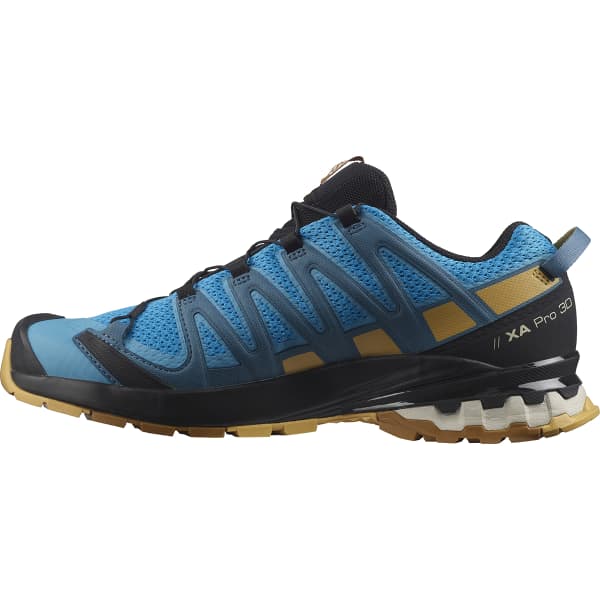 Salomon XA Pro 3D v8 trail running shoe in Reef/Fall Leaf/Bronze colorway