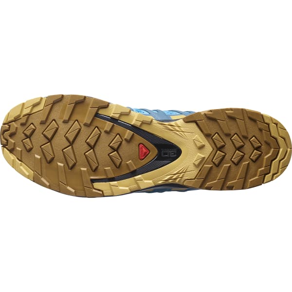 Salomon XA Pro 3D v8 trail running shoe in reef blue and bronze colorway