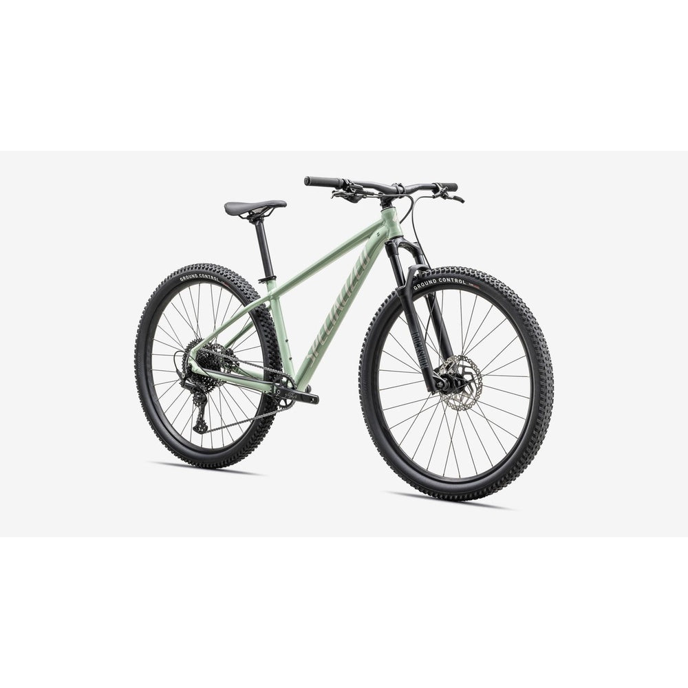 Specialized Rockhopper mountain bike in light green with black components and knobby tires