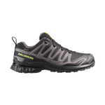 Salomon XA Pro 3D v9 GTX men's trail running shoe in grey and black