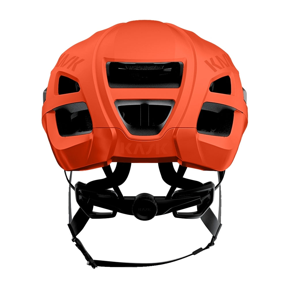 Kask Protone Icon cycling helmet in tangerine orange with ventilation ports, rear view