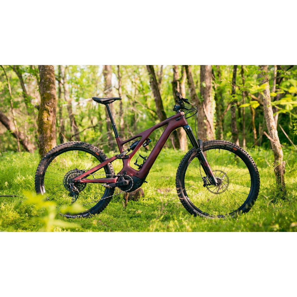 Specialized Levo Expert Carbon electric mountain bike in forest setting