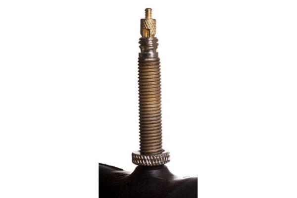 Black bicycle inner tube with brass Presta valve stem against white background