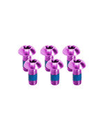 Kogel Ti Bolt Kit Rotor Rainbow
