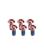 Kogel Ti Bolt Kit Rotor Rainbow