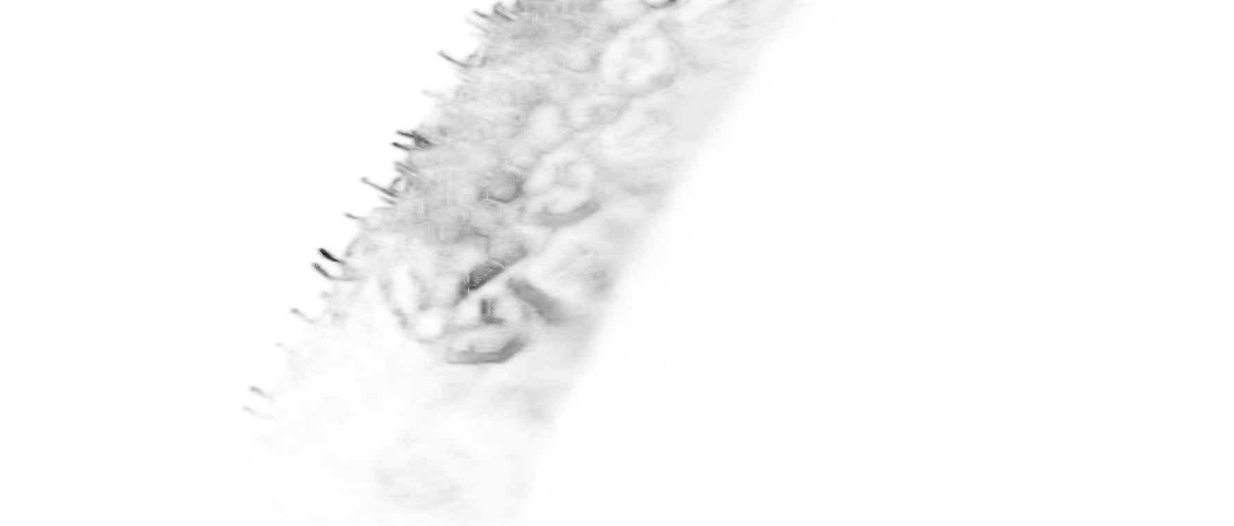 Vittoria Terreno Dry G2.0 TLR 700x38 Tire
