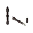 Stan's No Tube 55mm Universal Valve