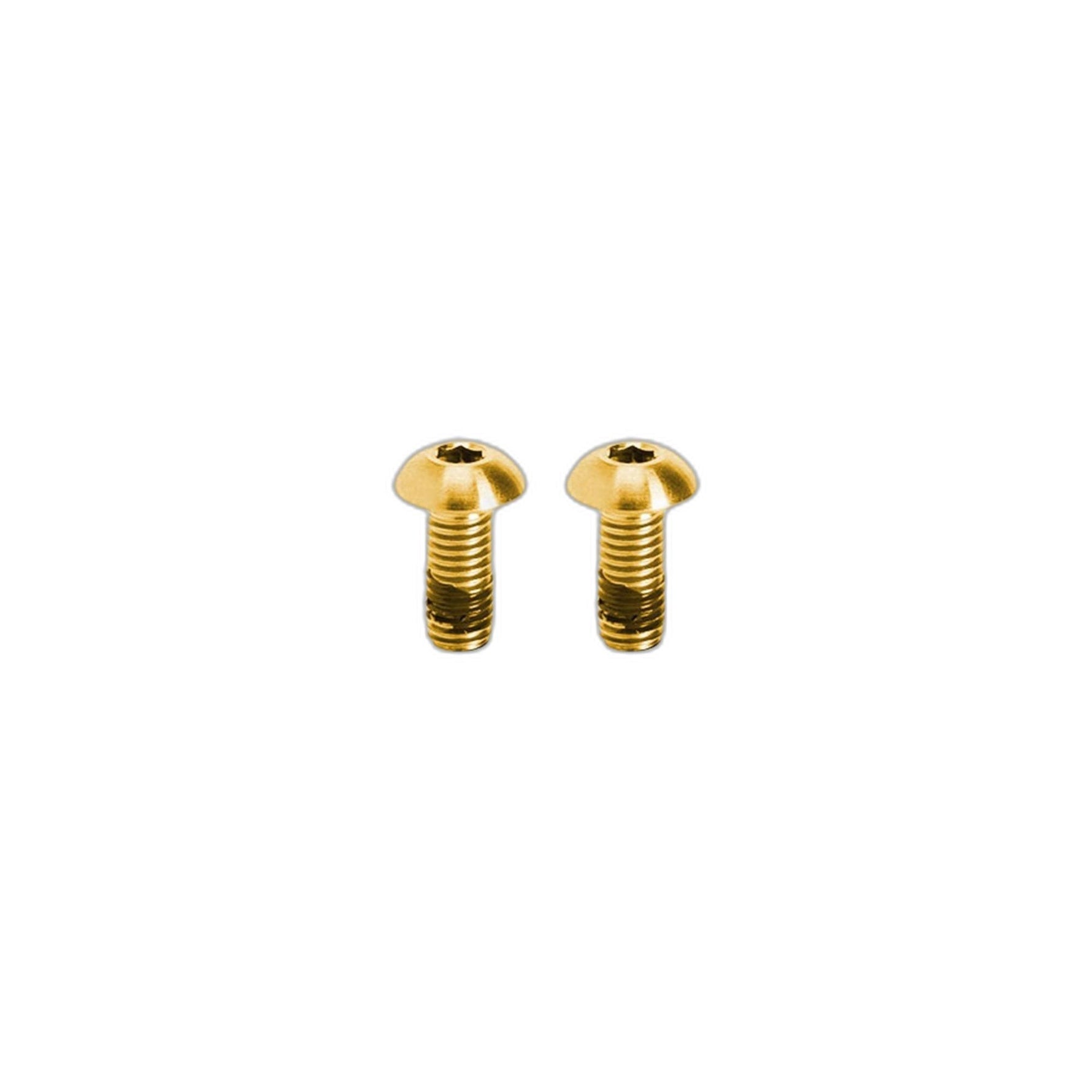 Kogel Ti Bottle Kit Gold