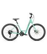 Specialized Roll 3.0 Low Entry
