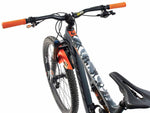 AMS Frame Guard Basic Camo