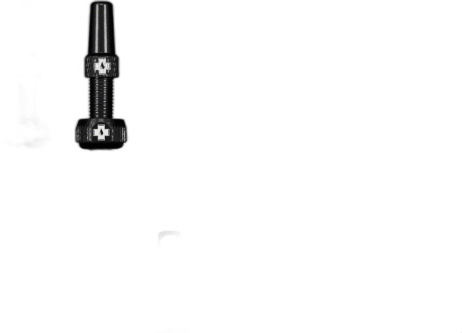 Muc-Off V2 Tubeless Valve Kit 60mm Black