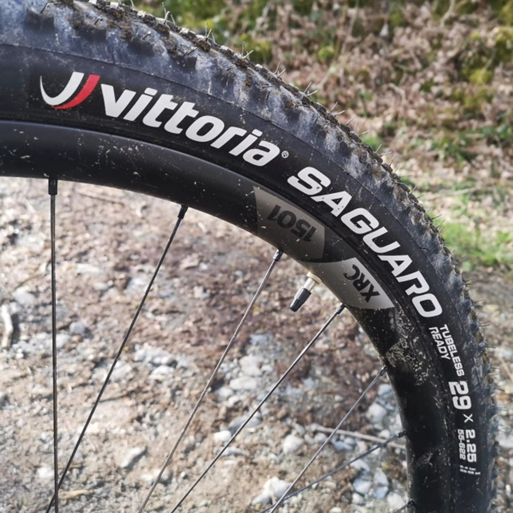 Saguaro Tire