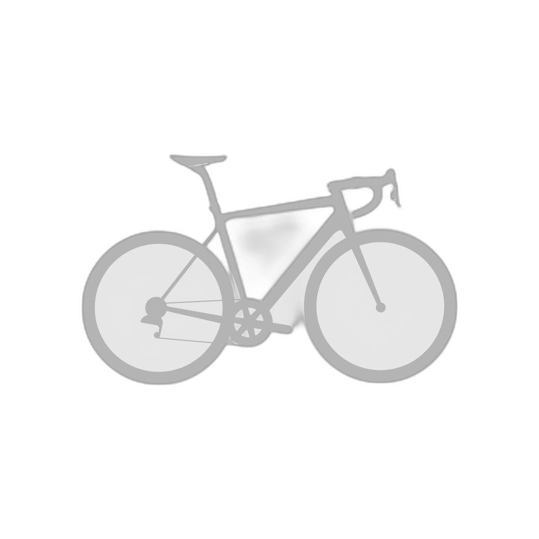 Fizik Argo Saddle