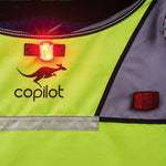 Copilot Model A Child Bicycle Trailer & Stroller Conversion Kit