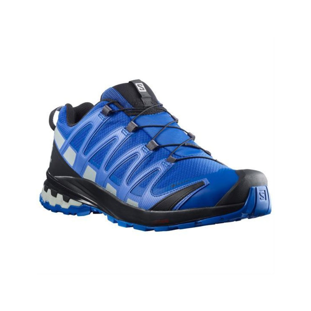 Salomon XA Pro 3D v8 Gtx Men's