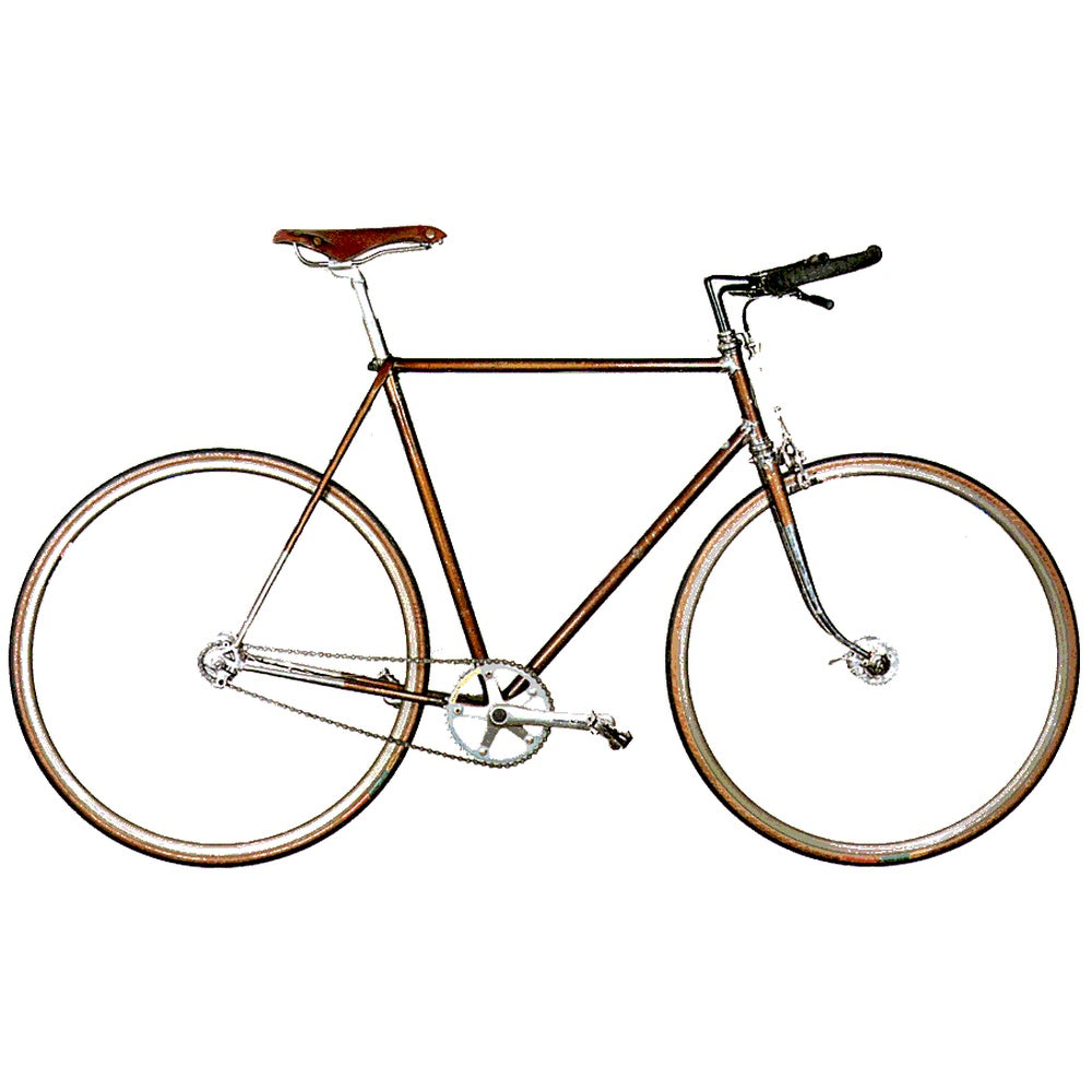 Raleigh Brown Medium (used)