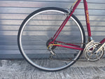 Gold GL5000 decal on the seat tube of the vintage Firenze steel road bike