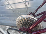 Vintage SUTEKI bike rear wheel spokes and freewheel cassette detail