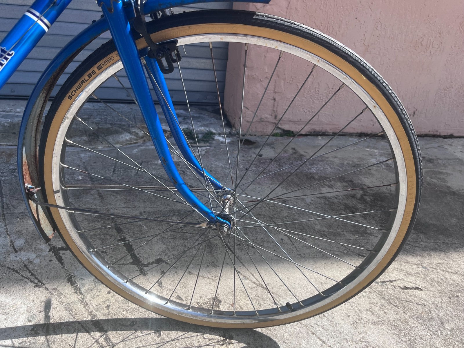 Front wheel, fork and fender with gum-wall tire on the vintage Sears Free Spirit bike
