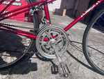 Crankset and chainrings with the MATSURI chain stay decal on the vintage mixte road bike