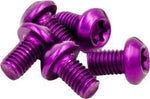 CHAINRING BOLT SET OR8 SINGLE ALY PUR