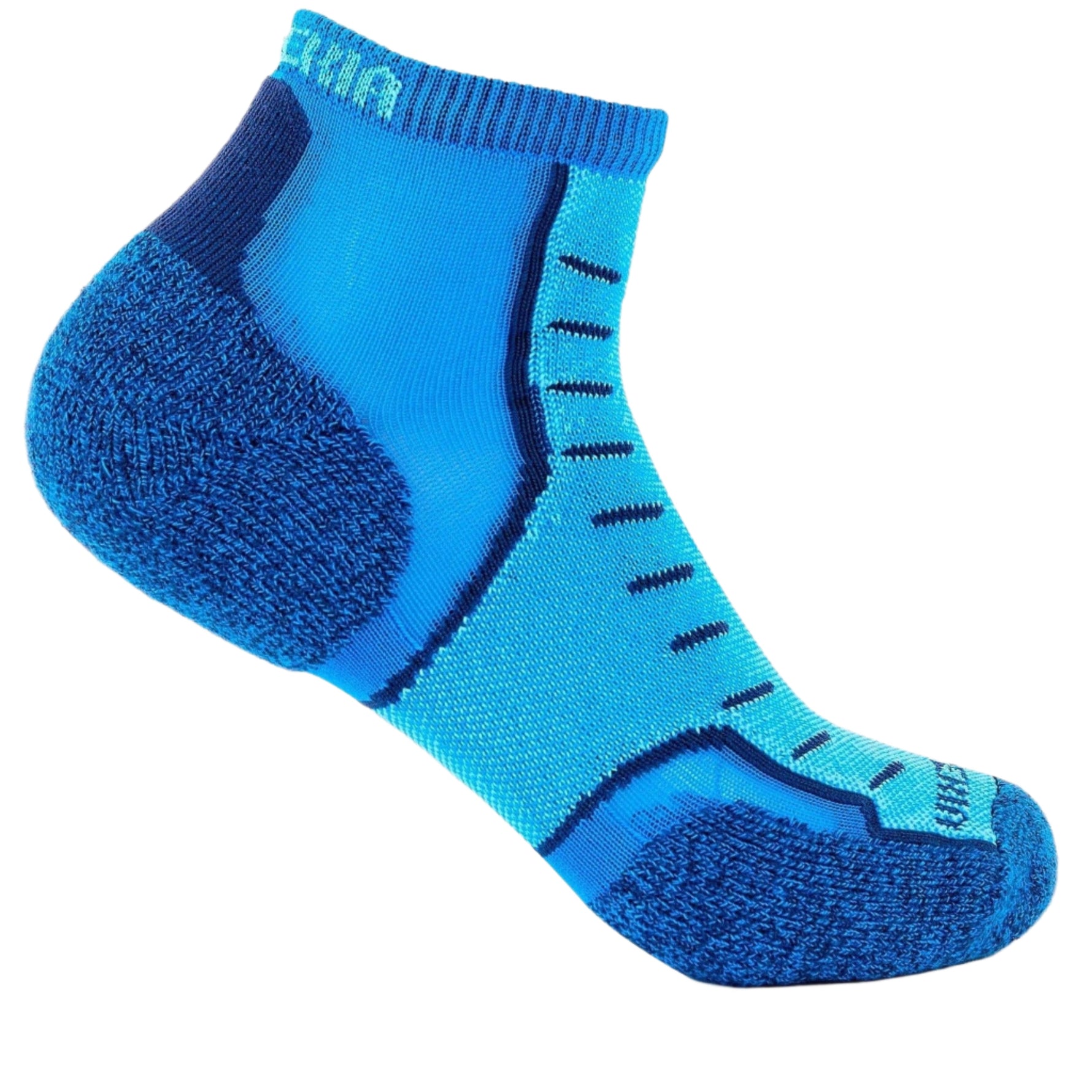 Experia Light Cushion Low-Cut athletic sock in royal blue with navy accents
